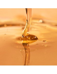 Nuggela Sule Champu Polinesia Keratina 250ml 2