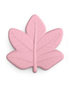 Suavinex Mordedor Bosque Silvestre Poetry 1u (Color...