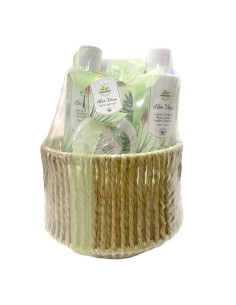 Becasan Cesta Campera Aloe